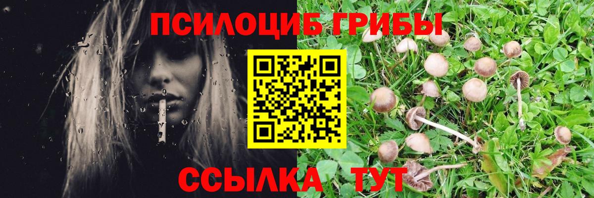 Псилоцибиновые грибы Magic Shrooms Электросталь