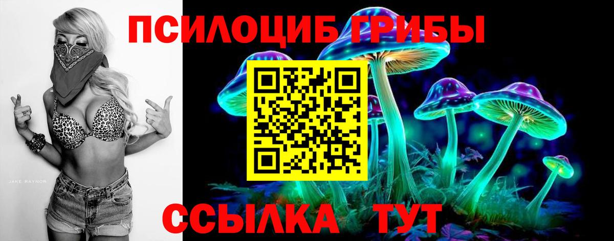 Псилоцибиновые грибы мухоморы  Псилоцибиновые грибы мицелий  даркнет сайт  Электросталь  Вход с VPN 